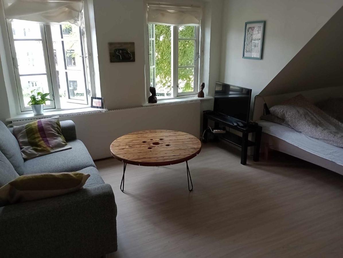Professor Labri Apartments 오덴세 외부 사진